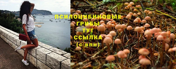 прущие крисы Алексин